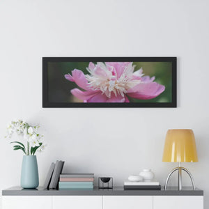 Vibrant Pink Peonies Framed Horizontal Poster - Dipaliz - Posters Prints & Visual Artwork