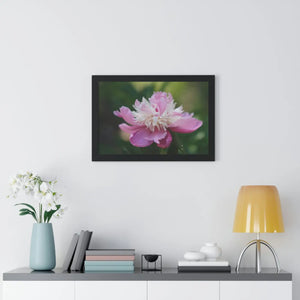 Vibrant Pink Peonies Framed Horizontal Poster - Dipaliz - Posters Prints & Visual Artwork