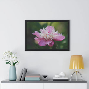 Vibrant Pink Peonies Framed Horizontal Poster - Dipaliz - Posters Prints & Visual Artwork
