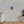 Vibrant Matte Canvas - Psychedelic Shoal Colorful Fish - Dipaliz - Posters Prints & Visual Artwork
