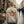 Dipaliz Pumpkin Skull Crewneck Sweatshirt Halloween - Sweatshirts