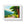 Scenic Tree Road Gallery Canvas Wraps – Framed Decor - Dipaliz - Posters Prints & Visual Artwork