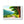Scenic Tree Road Gallery Canvas Wraps – Framed Decor - Dipaliz - Posters Prints & Visual Artwork