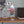 Slim Rose Tree Water Bottle - Stainless Steel Travel - Dipaliz - Bottles