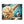 Sea Shell Placemat – Marine Life Cotton - Dipaliz - Placemats