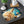 Sea Shell Placemat – Marine Life Cotton - Dipaliz - Placemats