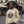 Dipaliz Skull Crewneck Sweatshirt Cotton Blend - Sweatshirts