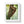 Zen Framed Vertical Poster - Sloth Tree Branch Art - Dipaliz - Posters Prints & Visual Artwork
