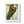 Zen Framed Vertical Poster - Sloth Tree Branch Art - Dipaliz - Posters Prints & Visual Artwork