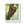 Zen Framed Vertical Poster - Sloth Tree Branch Art - Dipaliz - Posters Prints & Visual Artwork