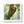 Zen Framed Vertical Poster - Sloth Tree Branch Art - Dipaliz - Posters Prints & Visual Artwork