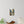 Vibrant Wall Decals - Durable Polyester River Woods - Dipaliz - Home Decor