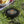 Malibu Surf Wham o Frisbee - Outdoor Floating Toy - Dipaliz - Flying Discs