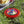 Wham o Frisbee Ultimate Outdoor Fun Classic Flying Disc - Dipaliz - Discs