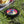 Wham o Frisbee Ultimate Outdoor Fun Plastic Disc - Dipaliz - Flying Discs