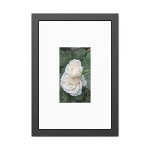 Elegant Framed Paper Posters - White Roses Fine Art - Dipaliz - Prints & Visual Artwork