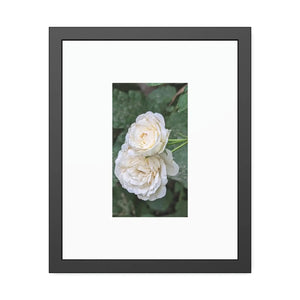 Elegant Framed Paper Posters - White Roses Fine Art - Dipaliz - Prints & Visual Artwork