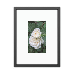 Elegant Framed Paper Posters - White Roses Fine Art - Dipaliz - Prints & Visual Artwork