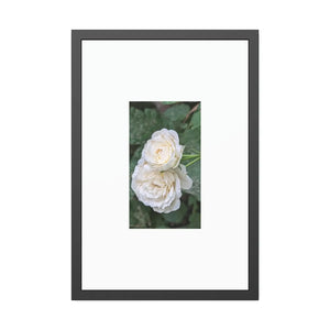 Elegant Framed Paper Posters - White Roses Fine Art - Dipaliz - Prints & Visual Artwork