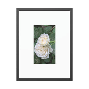 Elegant Framed Paper Posters - White Roses Fine Art - Dipaliz - Prints & Visual Artwork