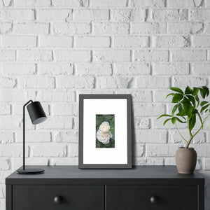 Elegant Framed Paper Posters - White Roses Fine Art - Dipaliz - Prints & Visual Artwork