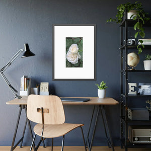 Elegant Framed Paper Posters - White Roses Fine Art - Dipaliz - Prints & Visual Artwork