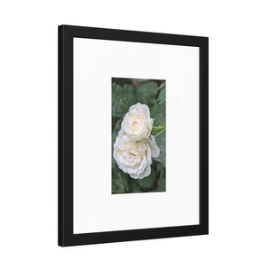Elegant Framed Paper Posters - White Roses Fine Art - Dipaliz - Prints & Visual Artwork