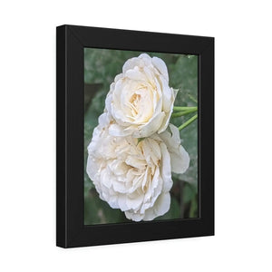 Elegant Framed Paper Posters - White Roses Fine Art - Dipaliz - Prints & Visual Artwork