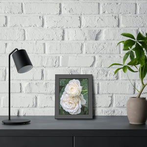 Elegant Framed Paper Posters - White Roses Fine Art - Dipaliz - Prints & Visual Artwork