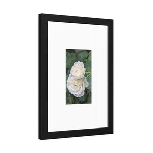 Elegant Framed Paper Posters - White Roses Fine Art - Dipaliz - Prints & Visual Artwork