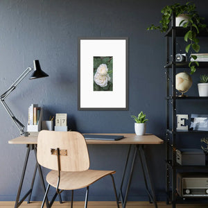 Elegant Framed Paper Posters - White Roses Fine Art - Dipaliz - Prints & Visual Artwork