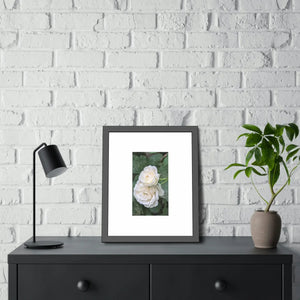 Elegant Framed Paper Posters - White Roses Fine Art - Dipaliz - Prints & Visual Artwork