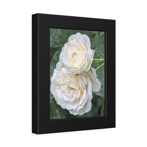 Elegant Framed Paper Posters - White Roses Fine Art - Dipaliz - Prints & Visual Artwork
