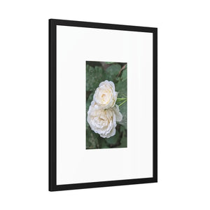 Elegant Framed Paper Posters - White Roses Fine Art - Dipaliz - Prints & Visual Artwork