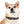 Snazzy Stain Resistant Dog Collar - Usa Made - Dipaliz - Pet Collars & Harnesses