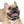 Snazzy Stain Resistant Dog Collar - Usa Made - Dipaliz - Pet Collars & Harnesses