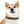 Snazzy Stain Resistant Dog Collar - Usa Made - Dipaliz - Pet Collars & Harnesses
