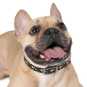 Snazzy Stain Resistant Dog Collar - Usa Made - Dipaliz - Pet Collars & Harnesses
