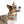 Vibrant Dog Bandana Collars - Durable Polyester - Dipaliz - Pet & Harnesses