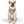 Vibrant Dog Bandana Collars - Durable Polyester - Dipaliz - Pet & Harnesses