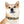 Stain Resistant Dog Collar - Elegant Thermo-elastomer - Dipaliz - Pet Collars & Harnesses