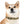 Stain Resistant Dog Collar - Elegant Thermo-elastomer - Dipaliz - Pet Collars & Harnesses