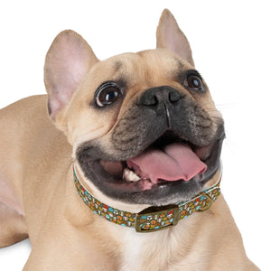Stain Resistant Dog Collar - Elegant Thermo-elastomer - Dipaliz - Pet Collars & Harnesses