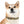 Stain Resistant Dog Collar - Elegant Thermo-elastomer - Dipaliz - Pet Collars & Harnesses