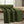 Green paisley fabric by the yard from DipaliZ, draped to show the full pattern repeat