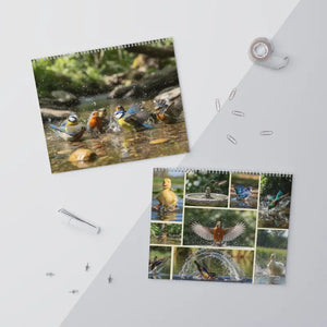 Wall Calendar - Silver Wire Binding Birds Splashing - Dipaliz - 14’’ x 11.5’’ / Glossy - Calendars
