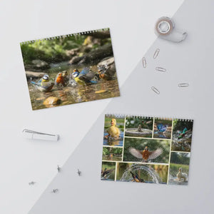 Wall Calendar - Silver Wire Binding Birds Splashing - Dipaliz - Calendars