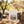 Eco Wildlife Paper Gift Bag - Earth Day Nature - Dipaliz - Bags