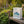 Northern Lights Paper Gift Bag - Earth Day - Dipaliz - Bags