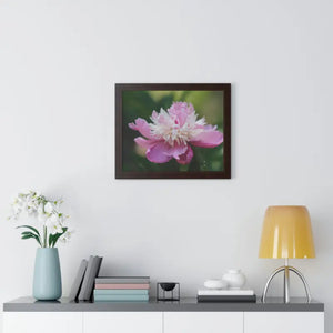 Framed Horizontal Poster Pink Peonies Modern Elegant Art Dipaliz - Posters Prints & Visual Artwork